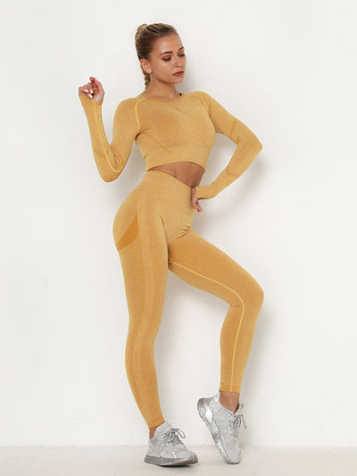 Women's Sets Skinny Tracksuit Breathable Bra Long Sleeve Top Seamless Outfits High Waist Push Up Leggings Gym Clothes Sport Suit - Shoe Candy Shop