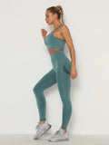 Women's Sets Skinny Tracksuit Breathable Bra Long Sleeve Top Seamless Outfits High Waist Push Up Leggings Gym Clothes Sport Suit - Shoe Candy Shop